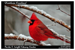 Aunt And Uncle Quotes Sayings Summer Wallpaper Funny