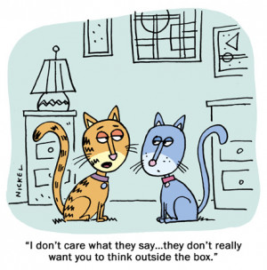 December Cat-toons- Enjoy!
