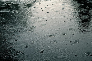 Happy Rainy Day Quotes