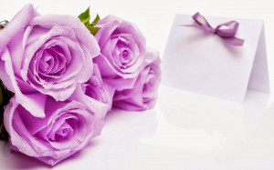 Purple-Rose-Greeting-card-HD-Template-image-free-download.jpg