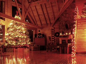 christmas, christmas tree, cosy, cozy, home, lights, mountain ...