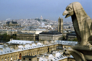 Notre Dame Funny Quotes