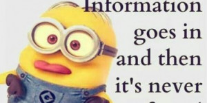 Top-40-Funniest-Minions-Quotes-sayings