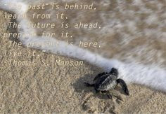... Monson I love this quote a lot. But the turtle background is the icing