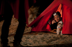 Review - Seven Psychopaths