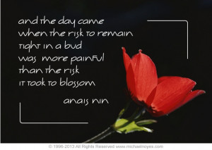 10. Anais Nin Quote 2