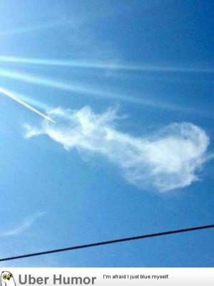 Add new comment: Cancel reply