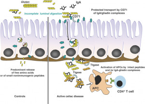 Unfortunately we are unable to provide accessible alternative text for ...