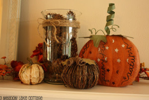 More of my pumpkins and a vase filled with my homemade scented pine ...