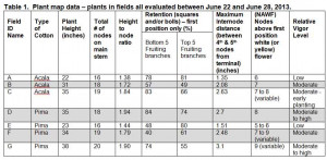 California Cotton: Variable Growth, Hot Weather – Recs For Early ...