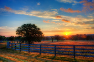sunrise fence