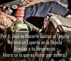 Banda la trakalosa- Borracho de amor corridos quotes, banda quotes ...