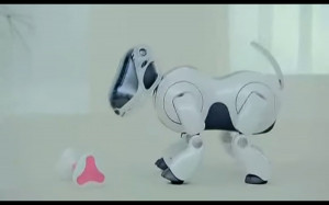 ... cute robot love quotes displaying 17 images for cute robot love quotes