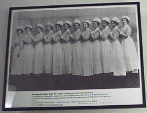 nursing posters are available from the connecticut nurses