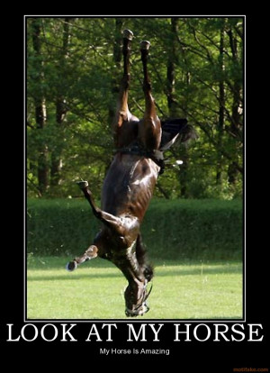 LOOK AT MY HORSE - My Horse Is Amazing