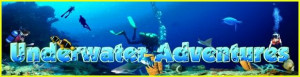 WHERE PROFESSIONAL & SPORT DIVERS SHOP ”