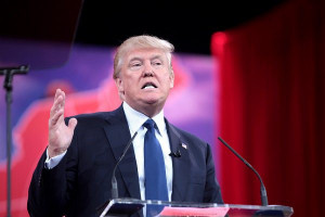 Info – Hilarious Video Features Actors Repeating Donald Trump Quotes ...