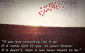 If You Love Something Let It Go If It Comes Back To You Its Yours ...
