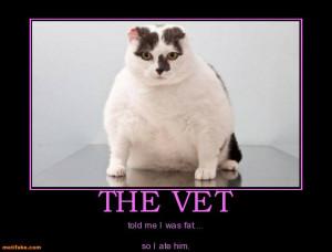 the-vet-fat-cat-ate-vet-nom-demotivational-posters-1334570853 photo ...