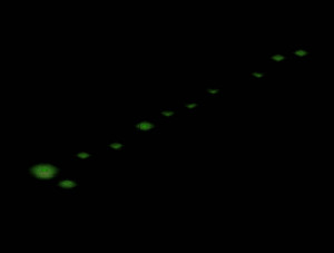 Pitch Black is a special encounter in Fallout Tactics .