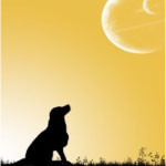 Quotes About Optimism #3