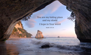 You are my hiding place and my shield; I hope in Your word. ~ Psalm ...