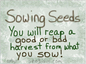 Sowing Seeds - You Will Either Reap A Good Or Bad Harvest