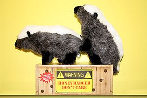 Randall's R-rated honey badger doll - A beautiful Valentines gift ...