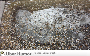 SIGN UP FOR THE NEW UBERHUMOR NEWSLETTER