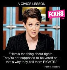 Rachel Maddow quote thing about rights not supposed to be voted on ...