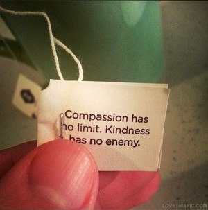 Compassion has no limit - Kindness Quote.