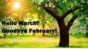 Goodbye february and hello march 2015