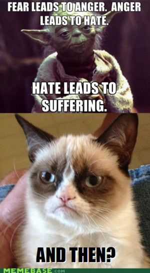 Grumpy Cat Internet Meme Invades Star Wars