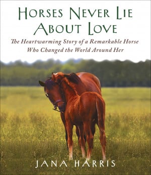 Horse Quotes About Love (8)