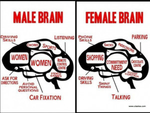 Funny Pictures-Male Brain and Female Brain
