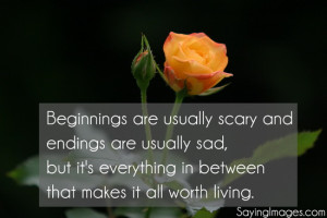 Beginnings are usually scary and endings are usually sad, but it’s ...