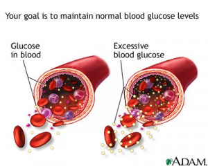 Blood Sugar, Insulin, and Ketosis