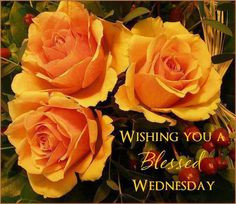 blessed wednesday more happy wednesday beautiful blessed wednesday ...