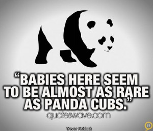 Babies here seem to be almost as rare as panda cubs.