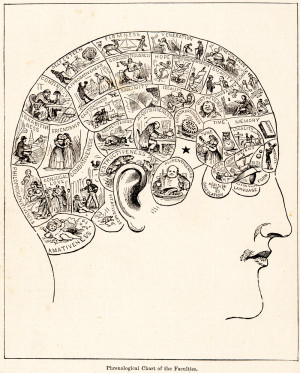 Phrenological Chart/diagram of the Faculties. Source: From People's ...