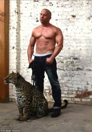 Iron man: Vin Diesel kept hold of a live leopard for a photo shoot, on ...