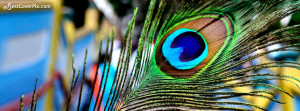 Beautiful Peacock Facebook Cover Photo