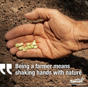 Inspirational Agriculture Quotes Inspiring agricultural quotes