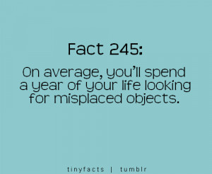 ... spend a year of your life looking for misplaced objects. | Fact Quote