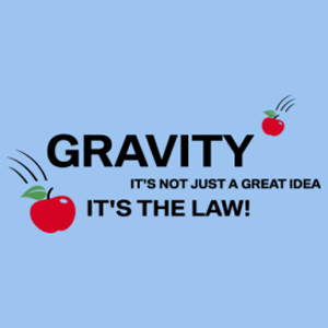 Gravity – Its not just a great idea – its The Law t-shirt