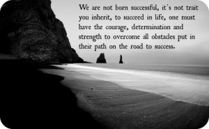 We are not born successful, its not trait you inherit, to succeed in ...
