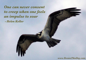 ... consent to creep when one feels an impulse to soar. - Helen Keller