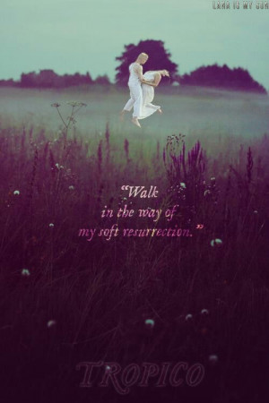 Lana Del Rey Tropico