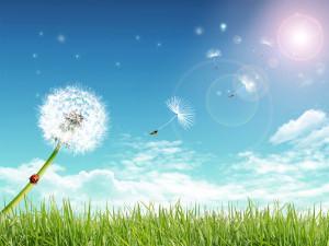 photoshop_stock