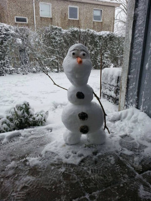 Olaf the snowman